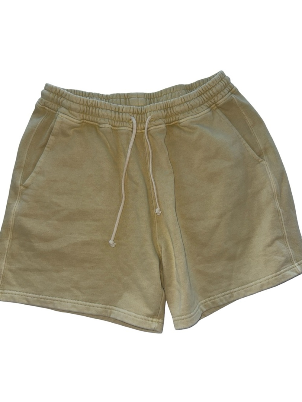 American Eagle Outfitters Men's Athletic Shorts in Sage Green